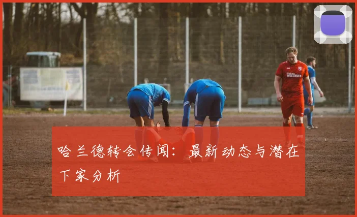 哈兰德转会传闻:最新动态与潜在下家分析
