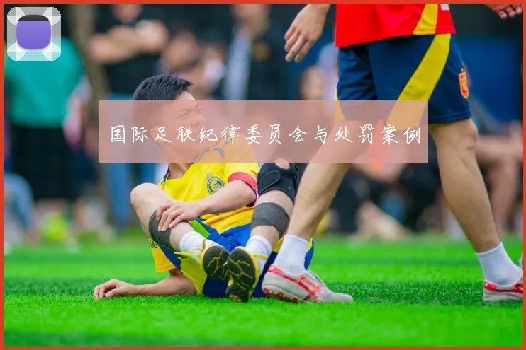 国际足联纪律委员会与处罚案例