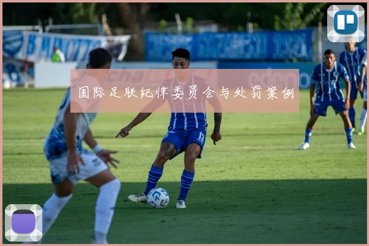 国际足联纪律委员会与处罚案例